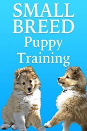 Small Breed Dog Training