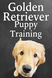 Golden Retriever Puppy Training