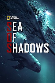 Sea Of Shadows