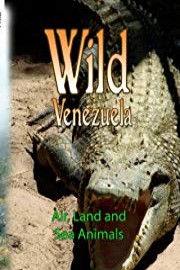 Wild Venezuela Air, Land and Sea Animals
