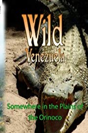 Wild Venezuela Somewhere in the Plains of the Orinoco