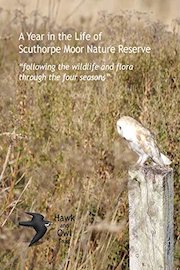 A Year in the Life of Sculthorpe Moor Nature Reserve