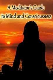 A Meditator's Guide to Mind and Consciousness