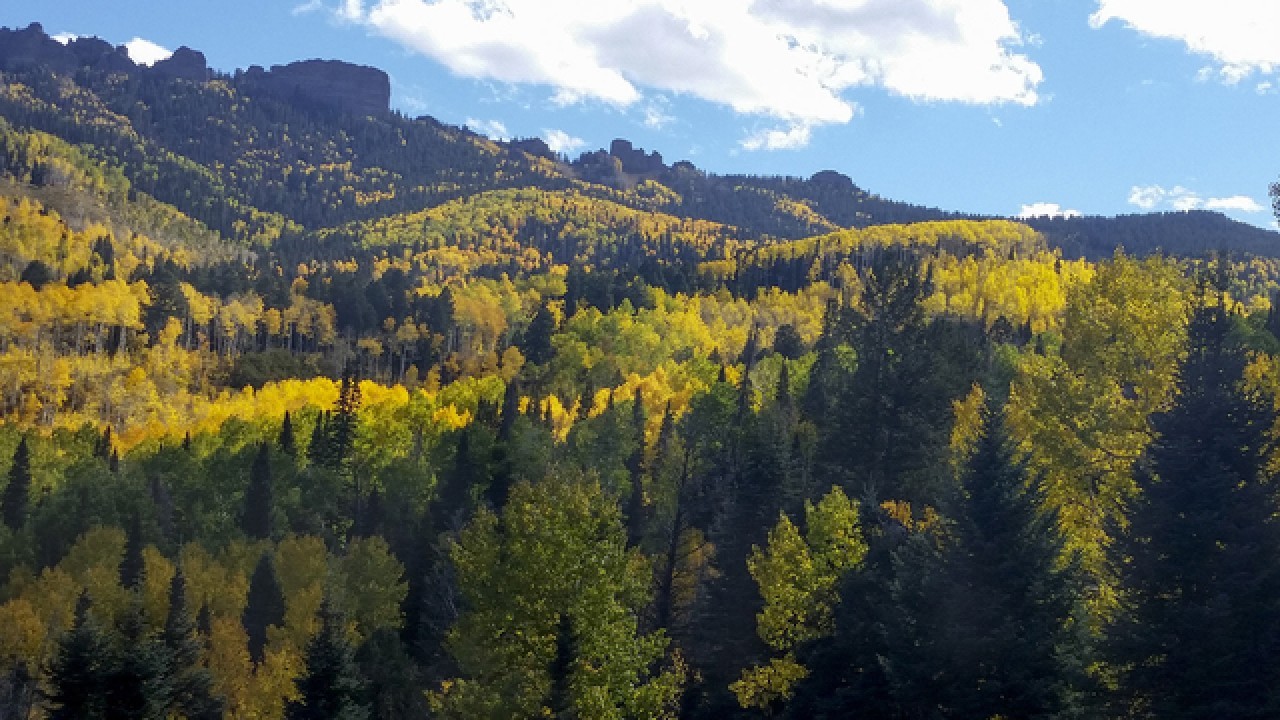 One Hour of Colorful Colorado