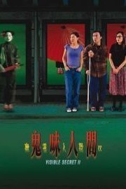 Visible Secret 2