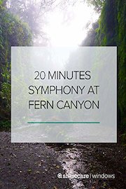 20 Minutes of Symphony at Fern Canyon
