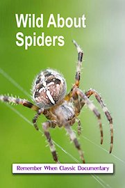 Wild About - Spiders