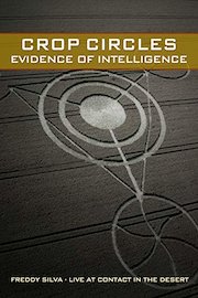 Crop Circles: Evidence of Intelligence