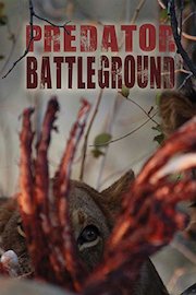 Predator Battleground