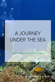 A Journey Under the Sea