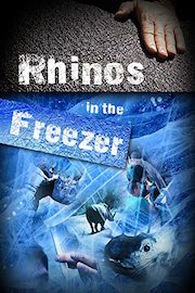 Rhinos in the Freezer