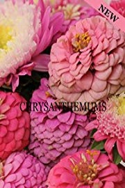Chrysanthemums