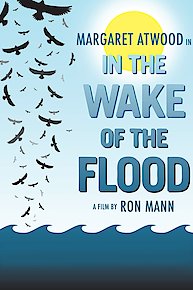 In the Wake of the Flood