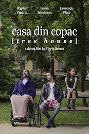 casa din copac [tree house]