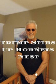 Trump stirs up hornet's nest