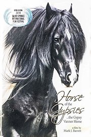 Horse of the Gypsies
