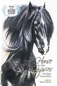 Horse of the Gypsies