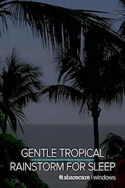 Gentle Tropical Rainstorm for Sleep 9 Hours