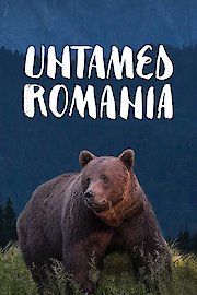 Untamed Romania