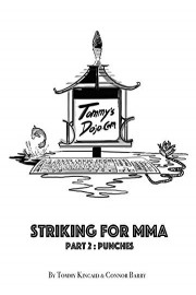 Striking for MMA - Part 2: Punches