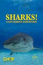 Sharks! A Guy Harvey Expedition