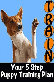 Your 5 Step Puppy Training Plan