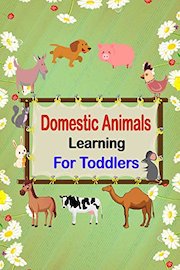 Domestic Animals Learning For Toddlers
