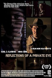 Reflections of a Private Eye