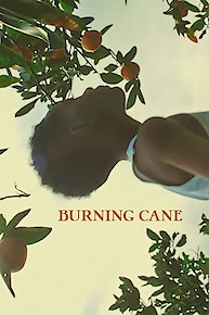 Burning Cane