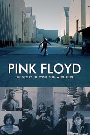 Pink Floyd - The Story Of Wish You Were Here