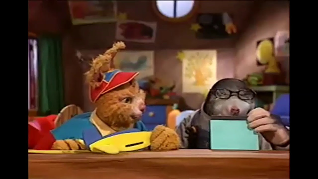 Bingo&Molly-All Together Now