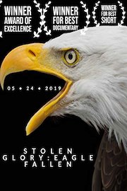 Stolen Glory: Eagle Fallen