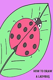 How to Draw a Ladybug