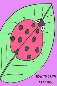 How to Draw a Ladybug