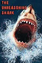 The Unreasoning Shark