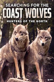 Searching For The Coast Wolves