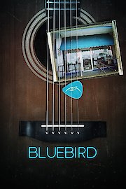 Bluebird