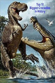 Top 10 Biggest Crocadiles in History