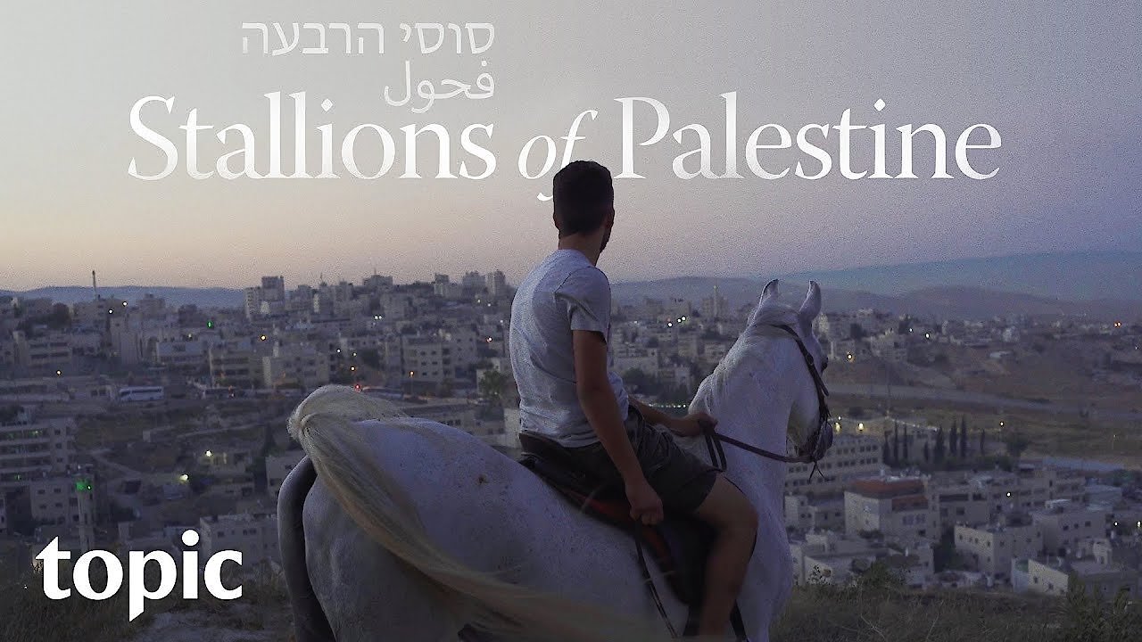 Stallions of Palestine