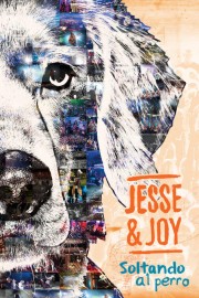 Jesse & Joy - Documental de la Gira 