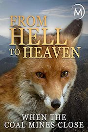 From Hell to Heaven: When the Coal Mines Close