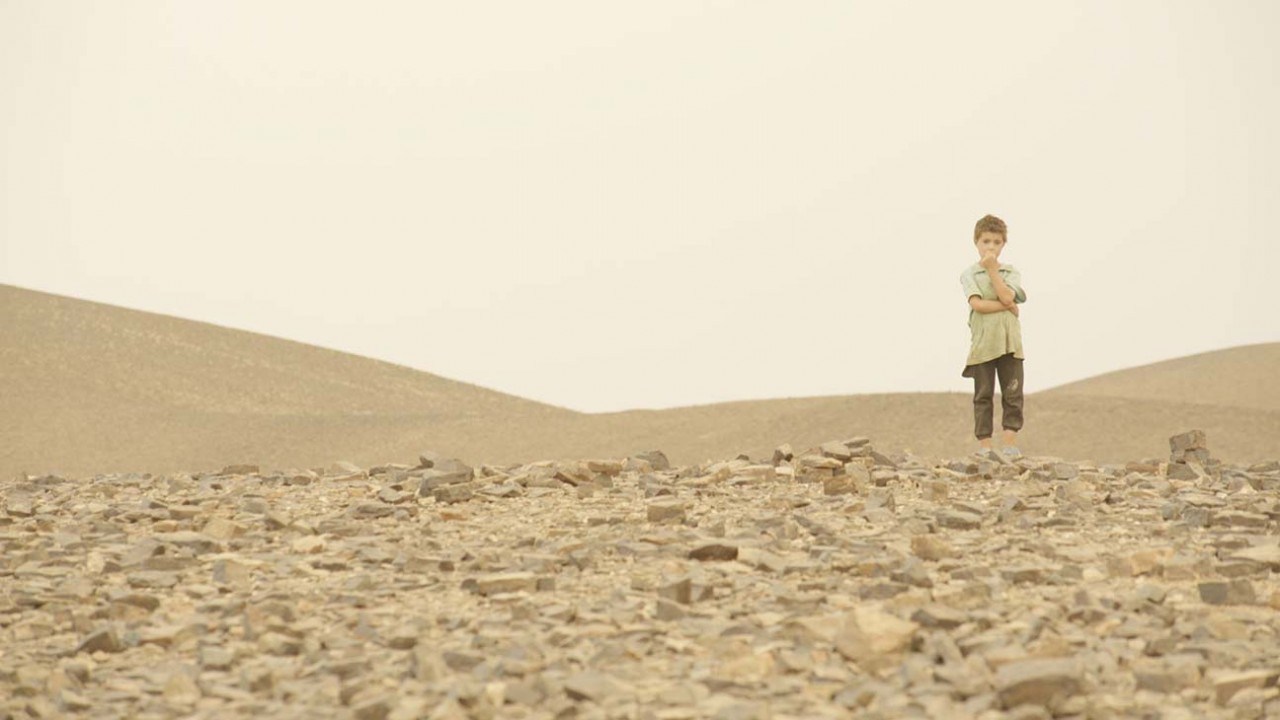 The Miracle of the Little Prince