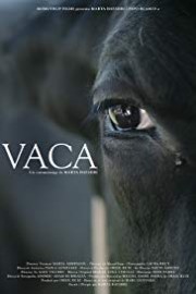 Vaca