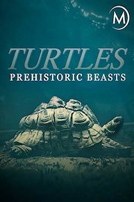 Turtles: Prehistoric Beasts