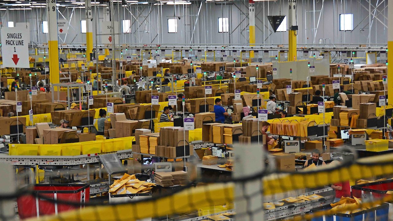 The World According to Amazon