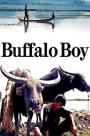 The Buffalo Boy