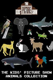 The Kids' Picture Show - Animals Collection