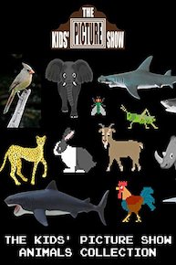 The Kids' Picture Show - Animals Collection