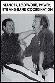 Stances, Footwork, Power, Eye and Hand Coordination