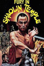 Fury in Shaolin Temple